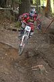 746__DSC0188 (3)